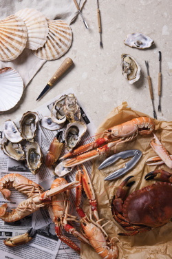 Logotrade reklaamkingitused pilt: VINGA "Story of Seafood" mereannikomplekt